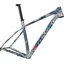 Specialized Chisel LTD Mountain Bike Frameset in Grey