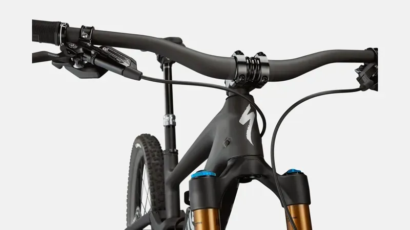 Specialized S-Works Enduro Mountain Bike in Black-3