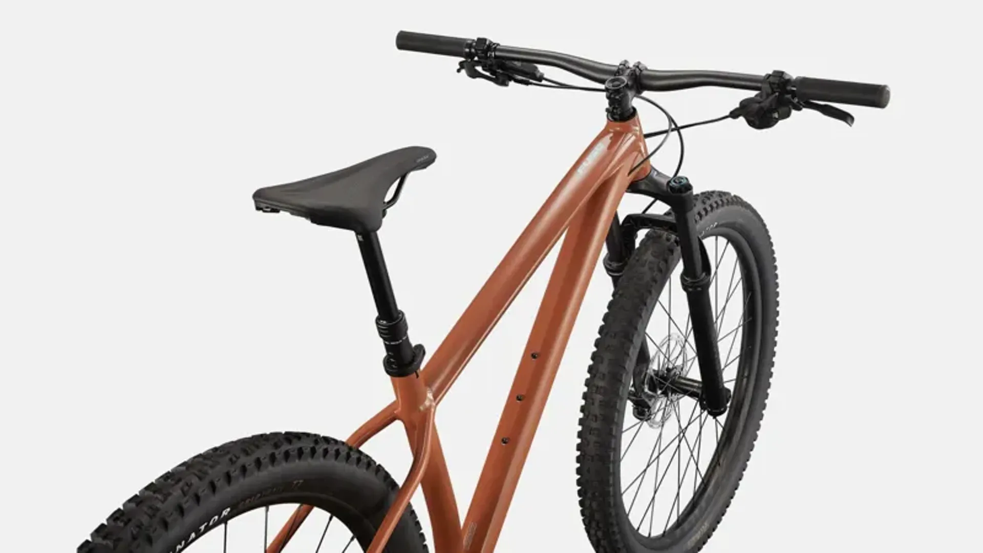 Fuse mtb online