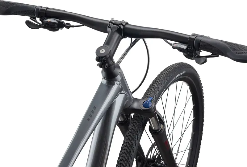 2021 Giant Roam 2 Disc Hybrid Bike in Grey