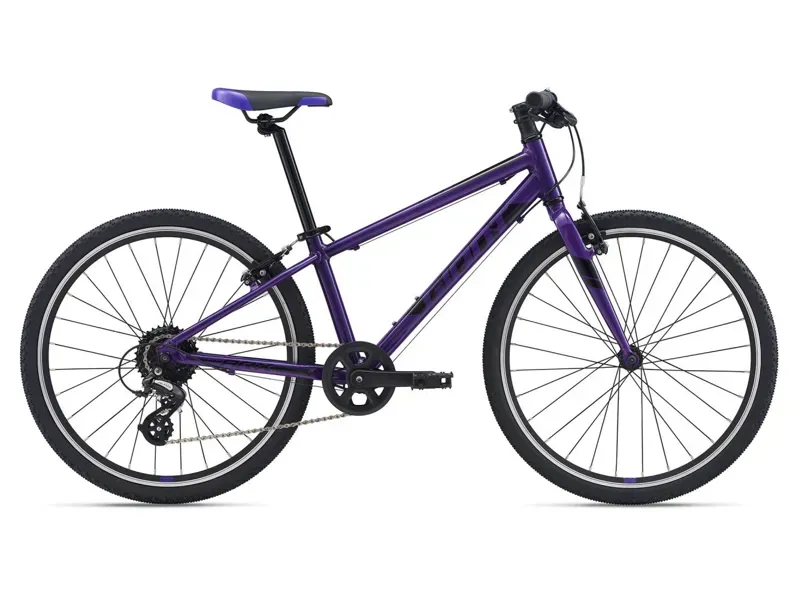 2021 Giant ARX 24 Kids Bike in Purple