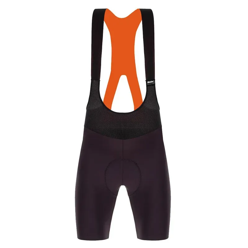 Santini Redux Fortuna Mens Bibshorts in Purple