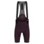 Santini Tono Puro Mens Bibshorts in Purple