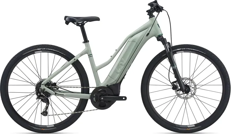 2021 Liv Rove E+ Electric Bike in Green