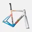 2022 Specialized Allez Sprint Frameset in Water Effect/Black