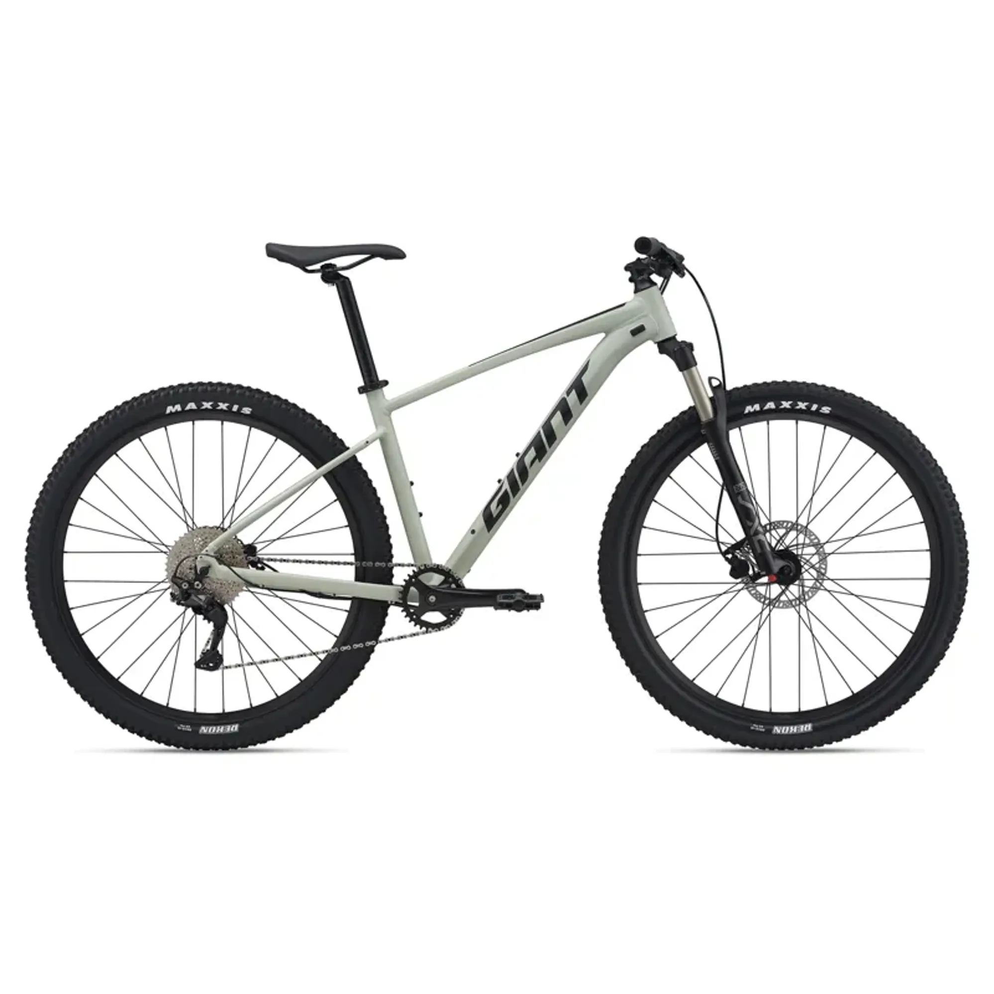 2021 Giant Talon Disc Mountain Bike in Grey - Main Image