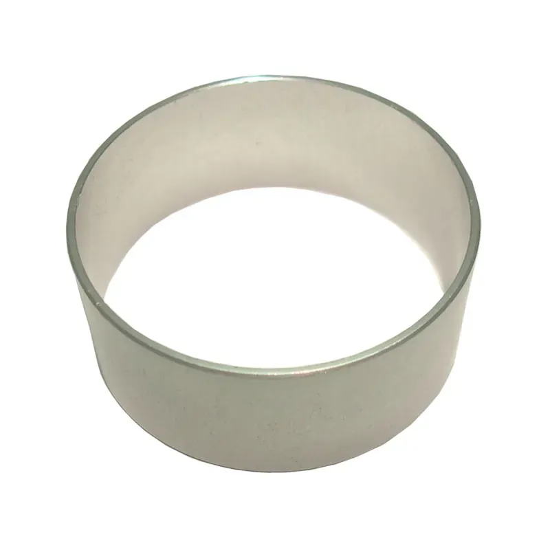 Campagnolo Cassette Lockrings in Silver-6