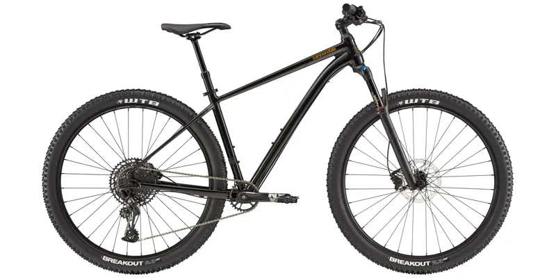 black cannondale mountain bike