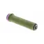 Ergon GD1 Evo Factory Grips in Moss/Oil