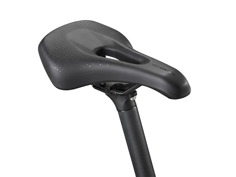 Giant FastRoad AR 2 Road Bike in Panther-5