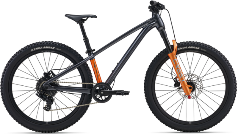 Giant STP 24 Mountain Bike in Black Chrome