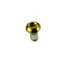 Ashima Steel Rotor Bolt 12-pack in Gold