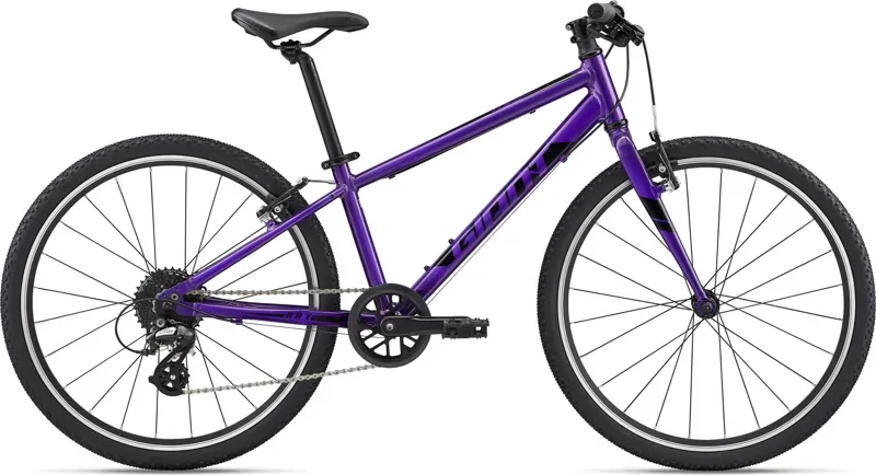 Giant ARX 24 Kid's Bike in Purple