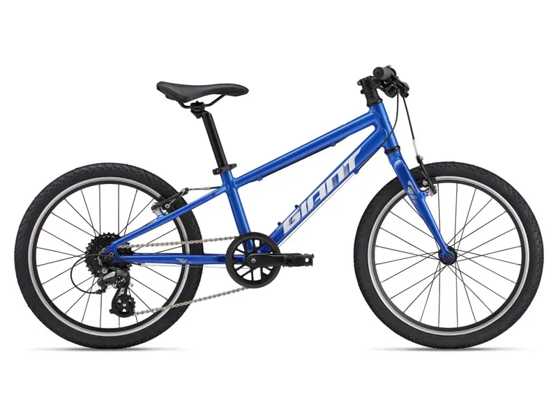 Giant Bikes | Ace Bike Co