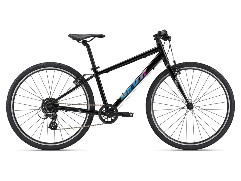 Giant Bikes | Ace Bike Co Giant Bikes | Ace Bike Co