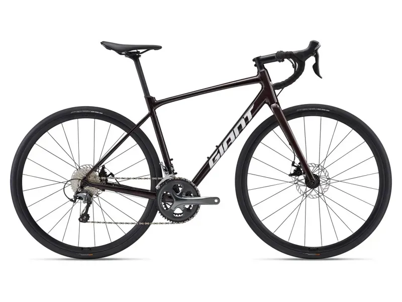 2024 GIANT CONTEND2 XS コールドアイアン CONTEND 2 コールドアイアン │ 輪心（わごころ） -GIANT EXP