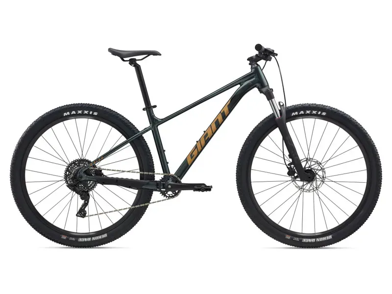 Giant Bikes | Ace Bike Co
