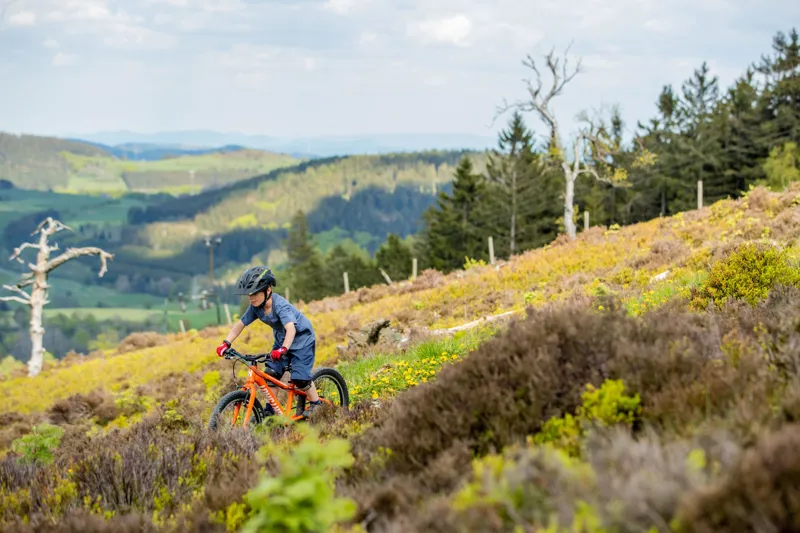 Eightshot X-COADY 20 SL - Orange-4