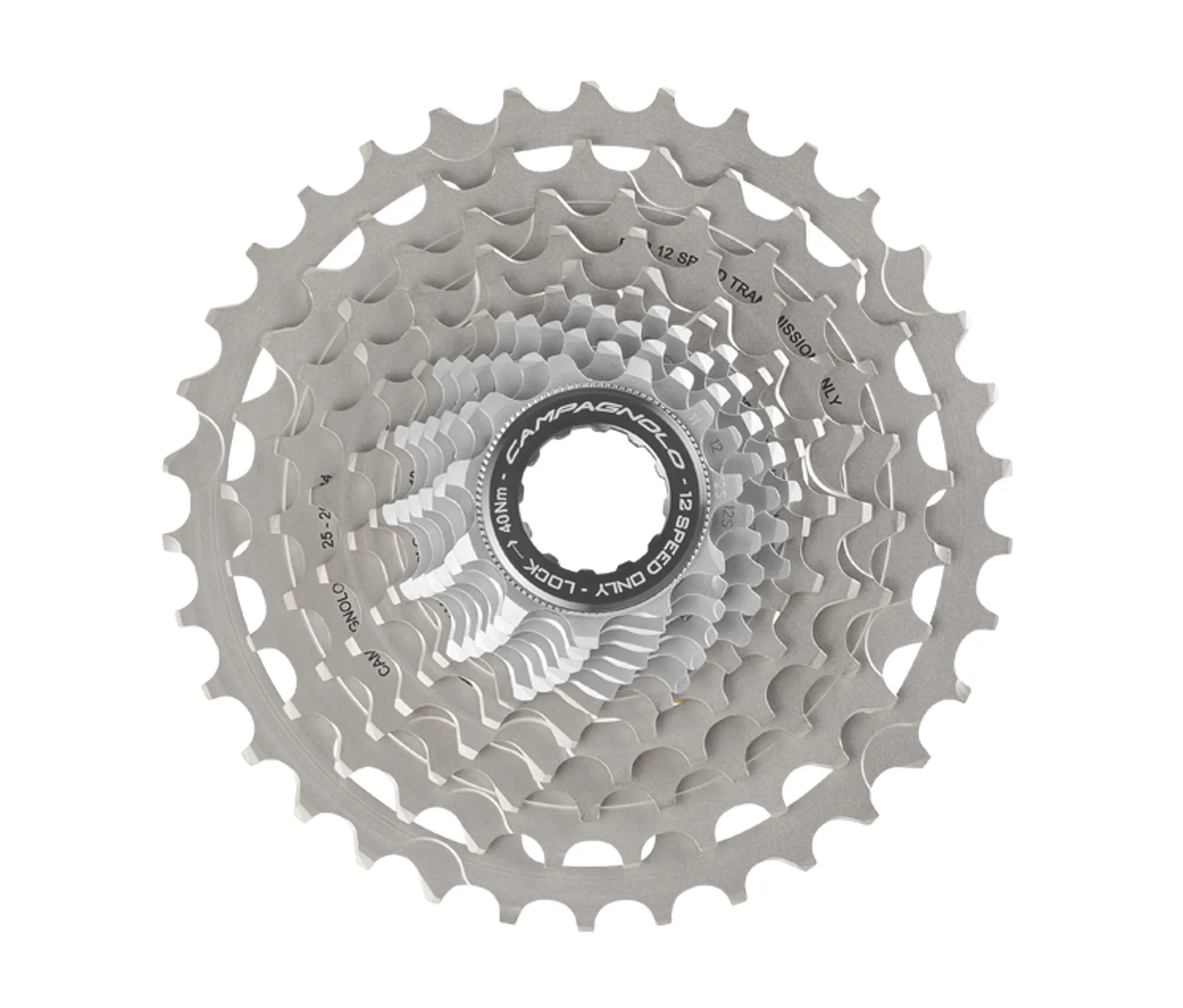 Campagnolo Record 2x12 Speed Road Disc Groupset
