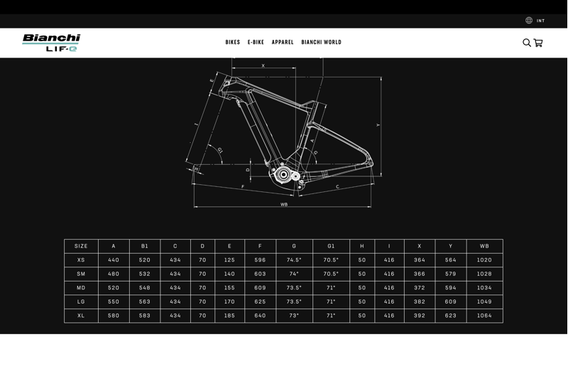 Bianchi E-ARCADEX GRX600 DISC TOURER-3