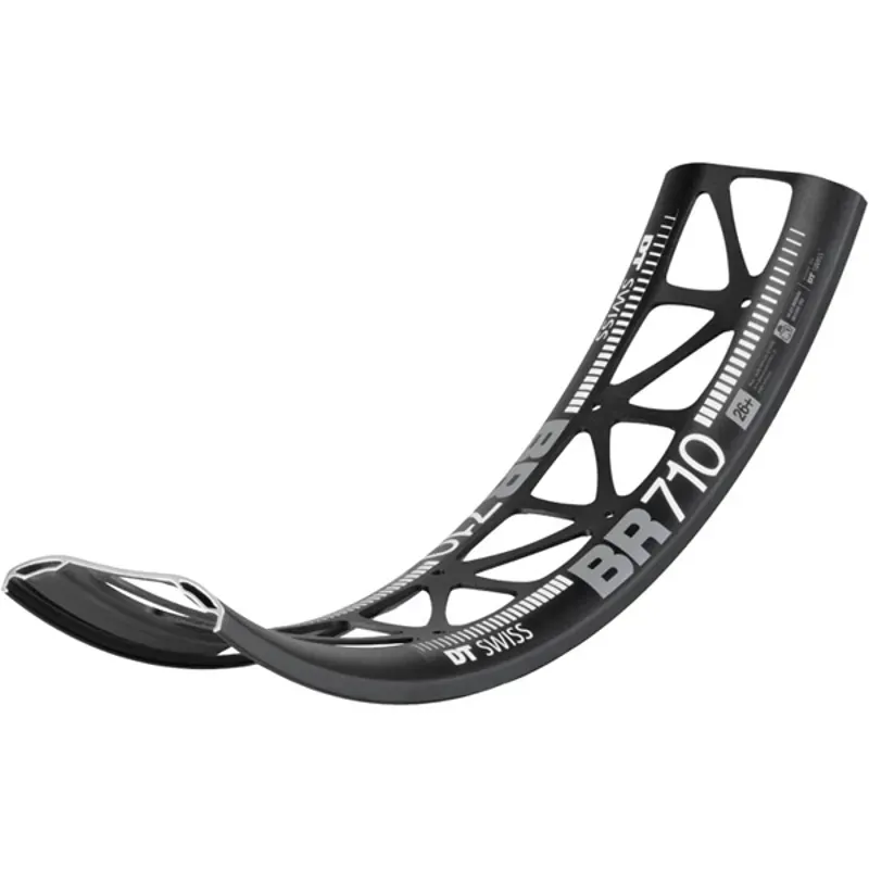 DT Swiss BR 710 SBWT 32 Hole 26in Fat Rims in Black