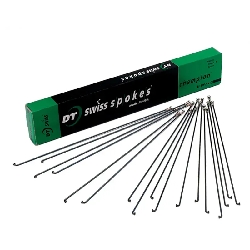 DT Swiss Champion 100-pack Silver Spokes - 2x289mm